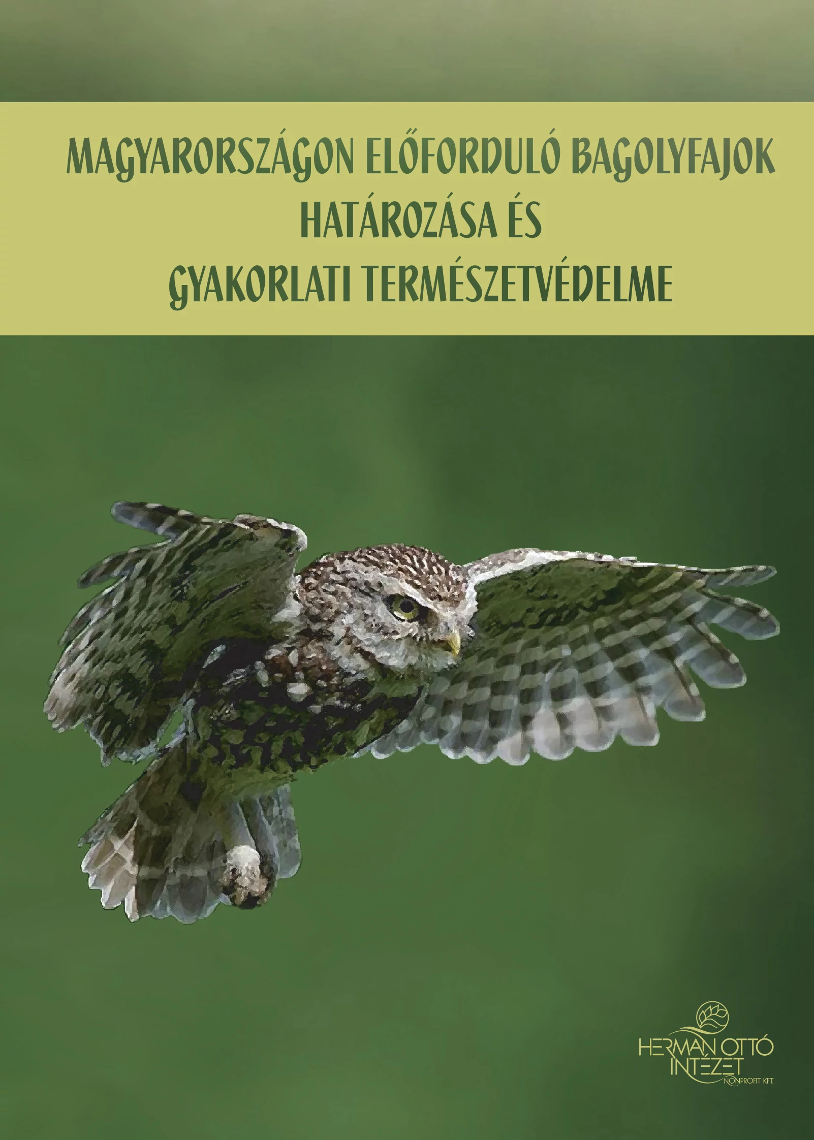 Magyarországon előforduló bagolyfajok határozása és gyakorlati természetvédelme