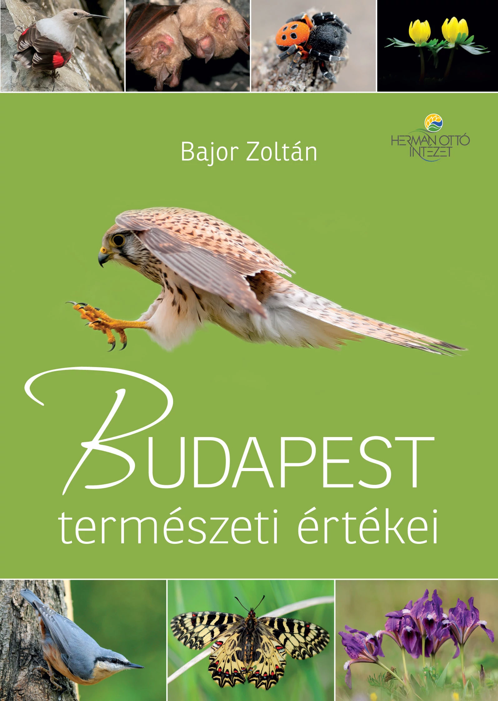 Budapest természeti értékei
