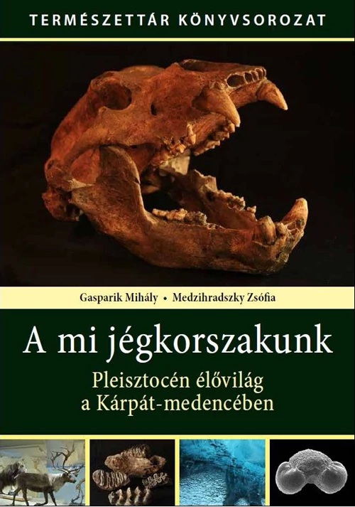 A mi jégkorszakunk