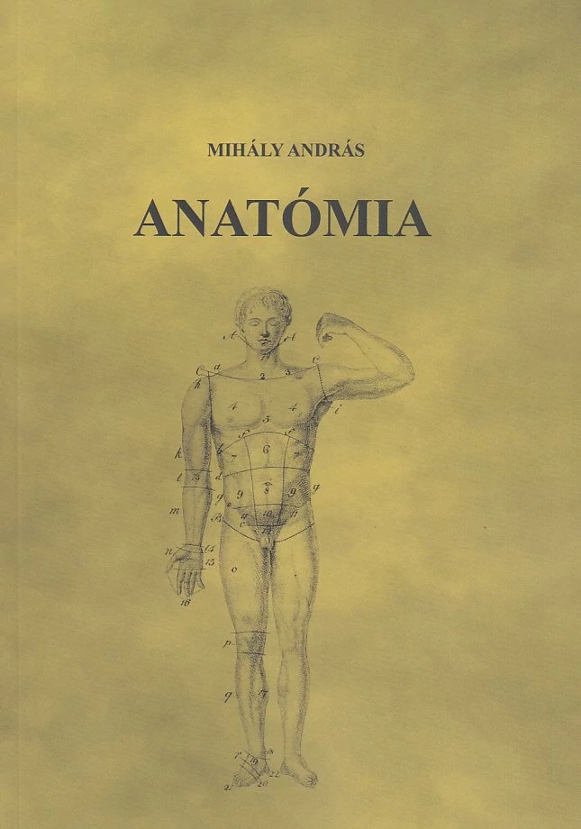 Anatómia