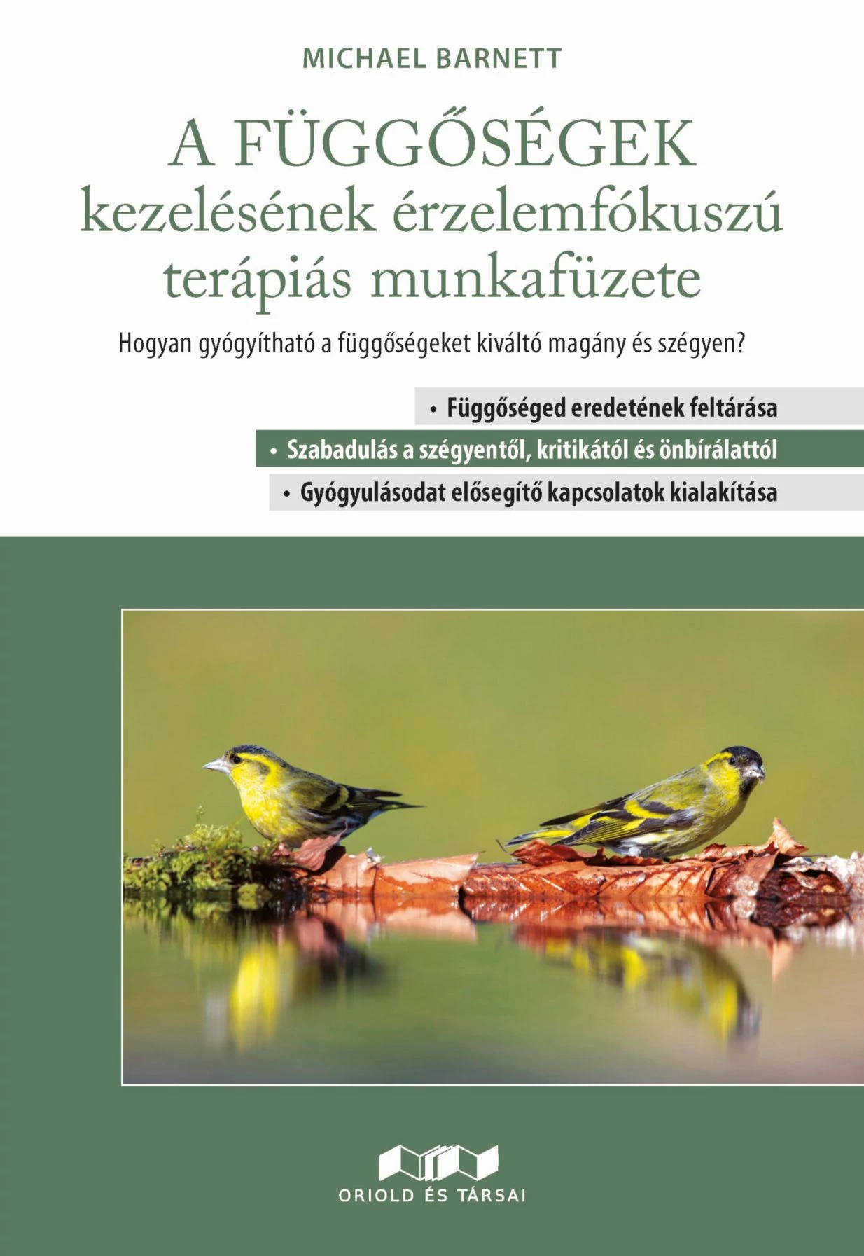 A függőségek kezelésének érzelemfókuszú terápiás munkafüzete