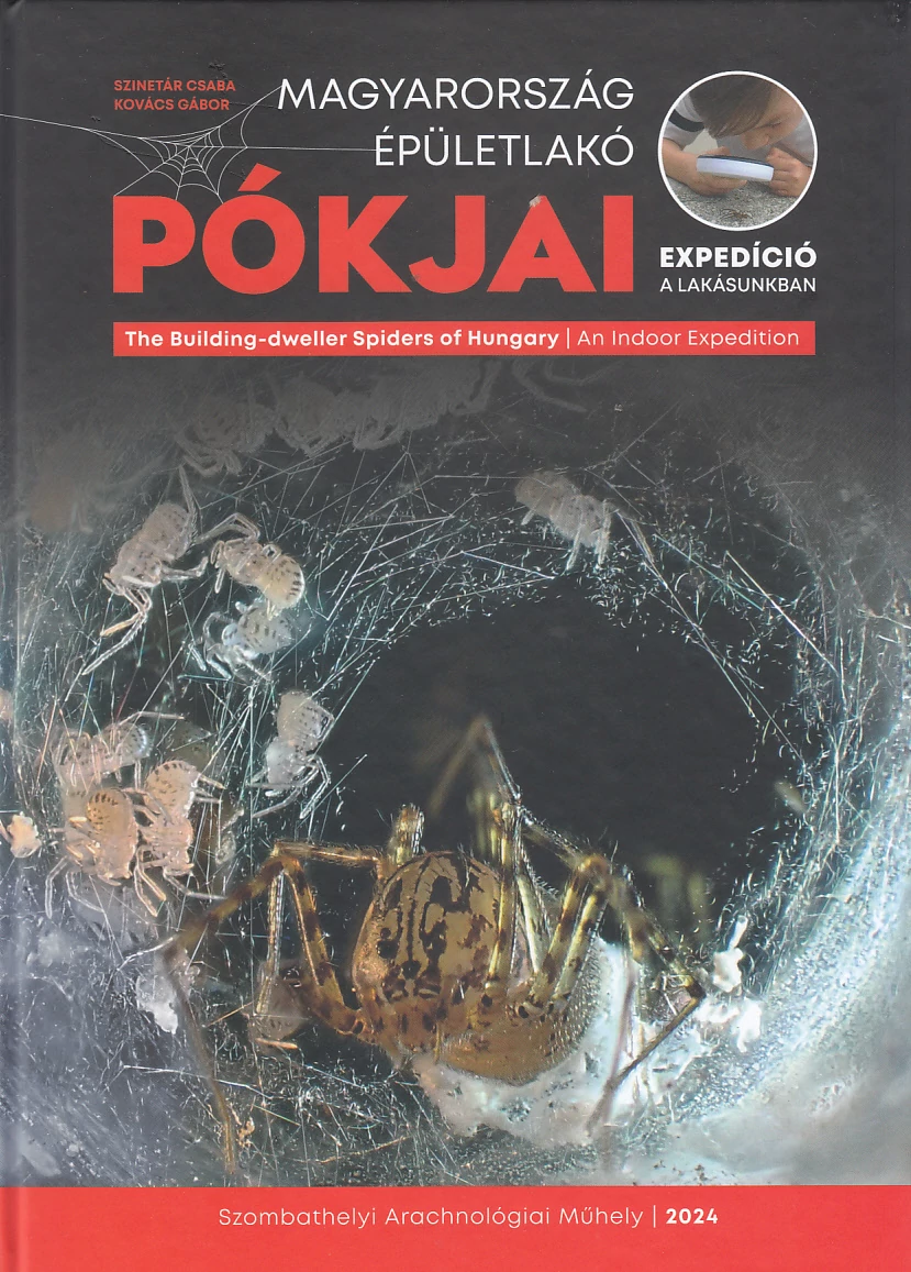 Magyarország épületlakó pókjai