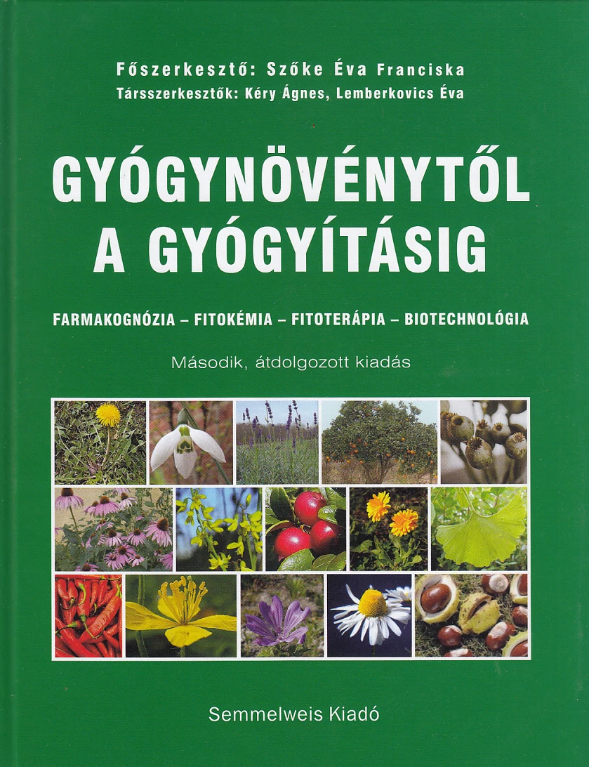 Gyógynövénytől a gyógyításig