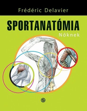 Sportanatómia nőknek
