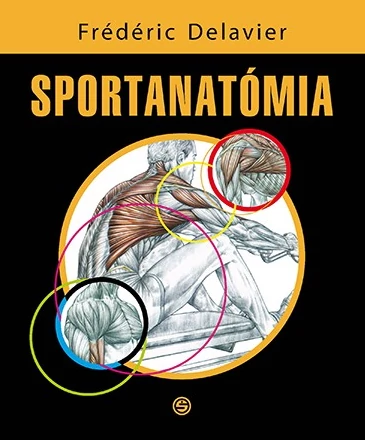 Sportanatómia