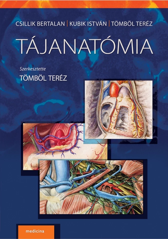 Tájanatómia