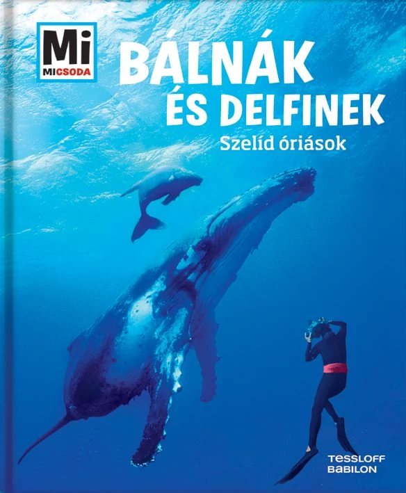 Bálnák és delfinek