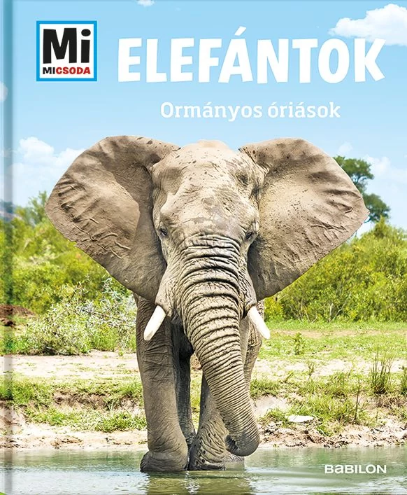 Elefántok