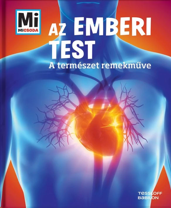 Az emberi test