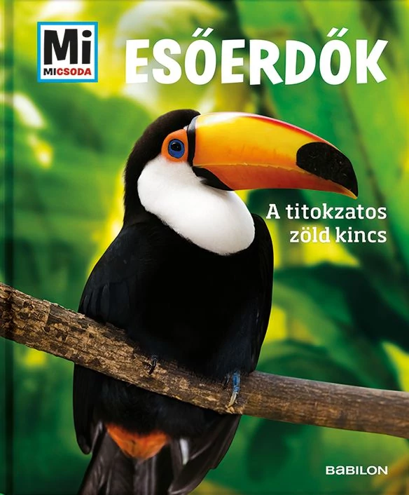 Esőerdők