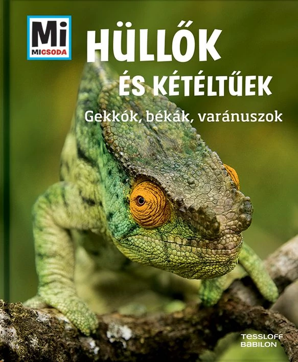 Hüllők és kétéltűek