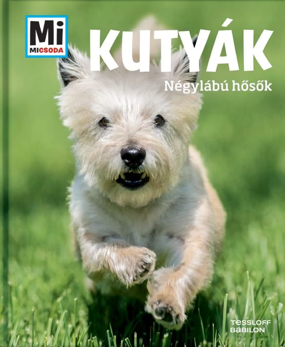 Kutyák