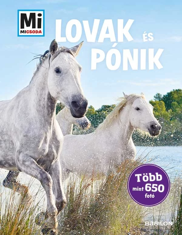 Lovak és pónik