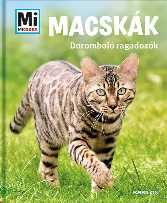 Macskák