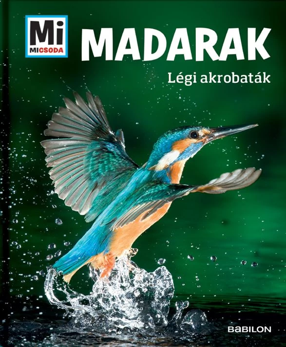 Madarak