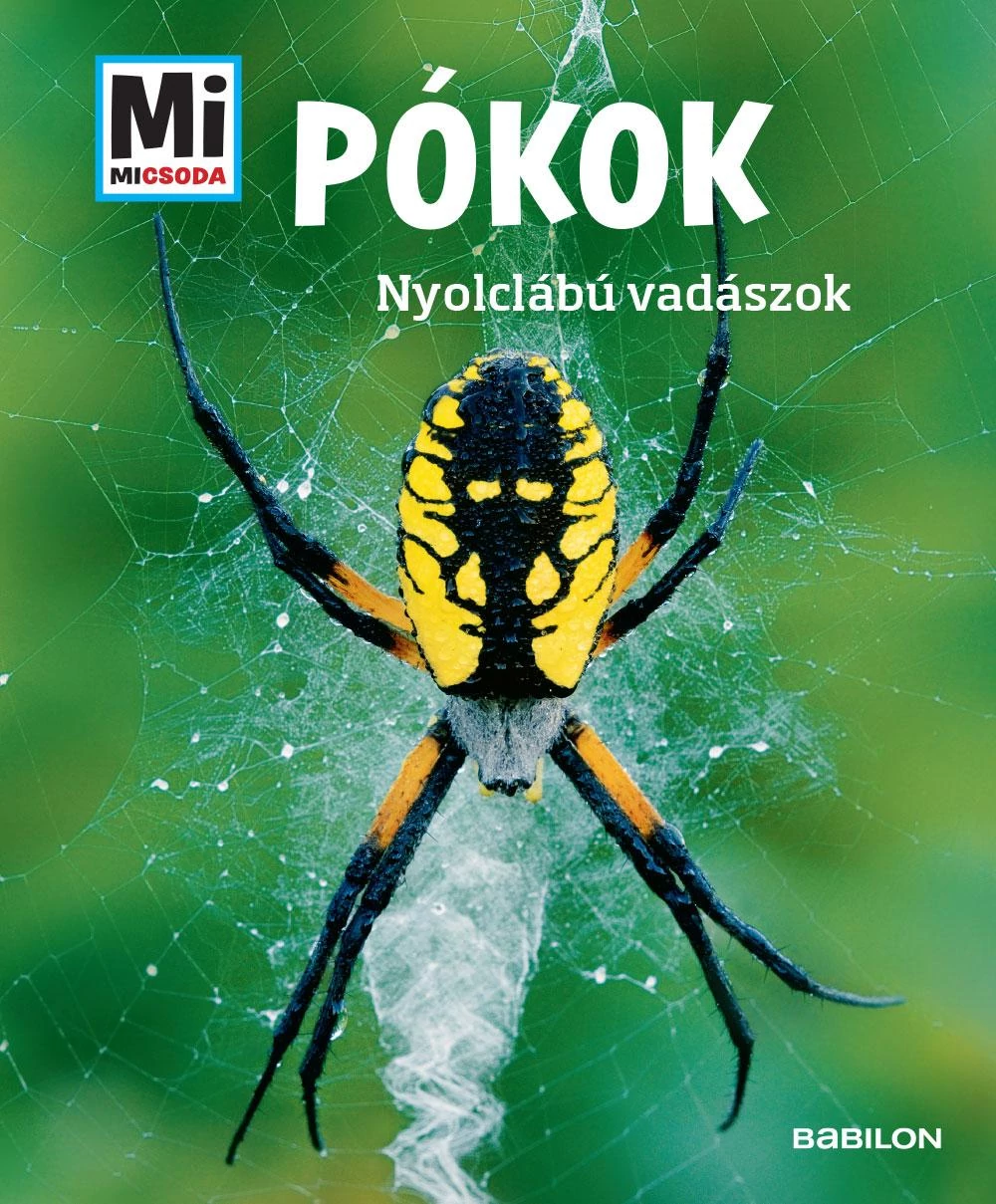 Pókok